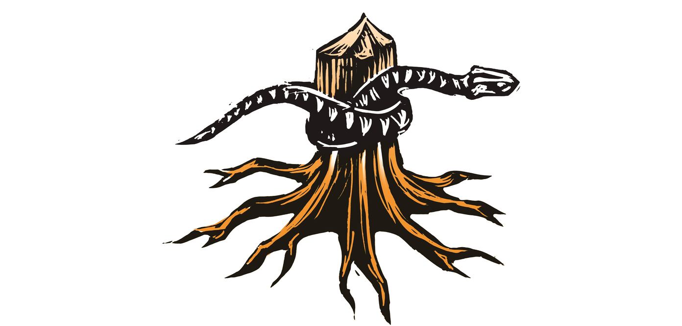 Tajamar: en la cancha del Poder Judicial