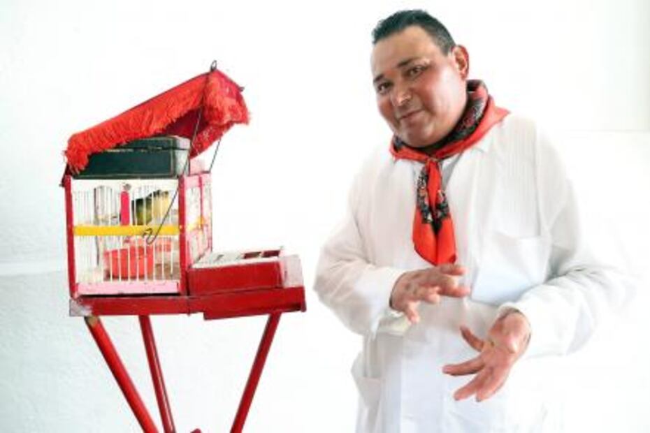 Pajaritos, ahora te leen la suerte… en las cantinas 