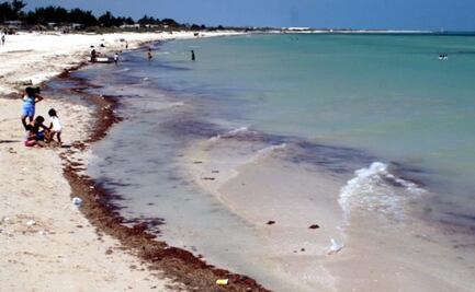 Marea Roja Sinaloa: Decretan veda temporal en Navolato