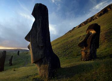 Plantean que los moai sean "embajadores" de cultura en Rapa Nui