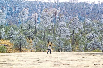 Aguanieve atrae más visitantes al Ajusco