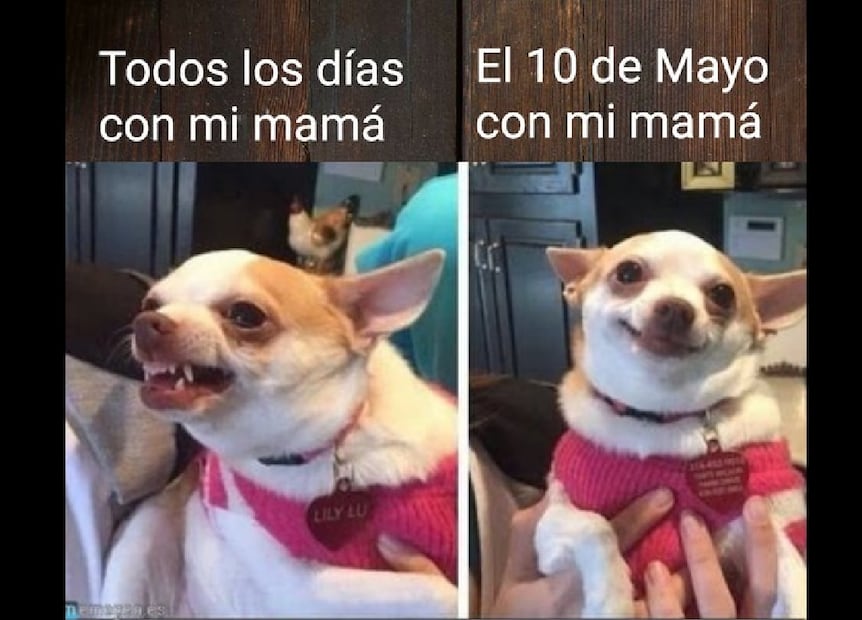 Memes del Día de las Madres en México. Foto: X