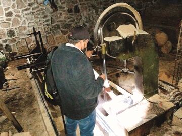 Van contra centros de tala clandestina