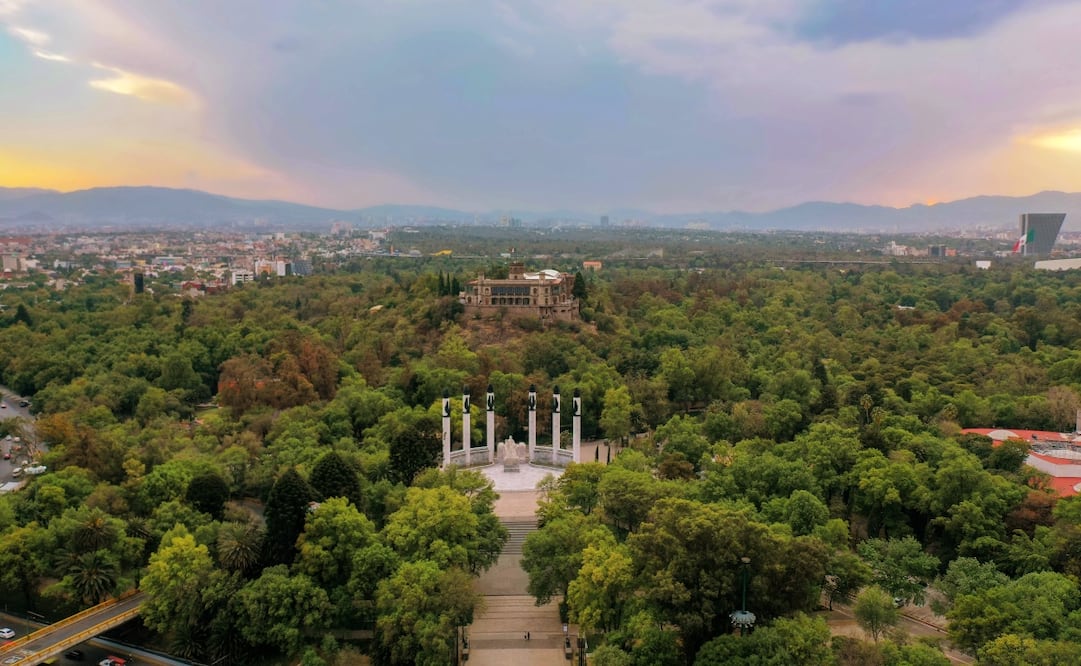 El Bosque de Chapultepec se prepara para celebrar a lo grande a las infancias en su día. Foto: Pexels