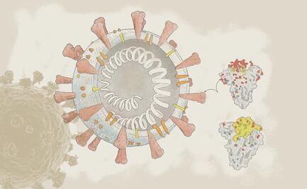 ¿Por qué preocupa ómicron?
