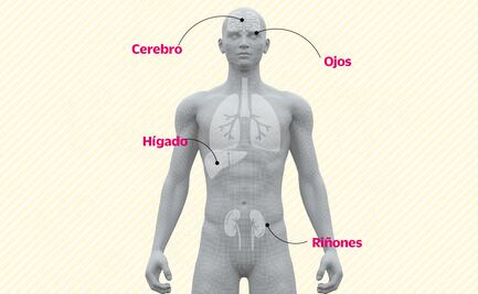 Los peligros de ingerir alcohol adulterado