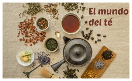 Descubre el mundo del té