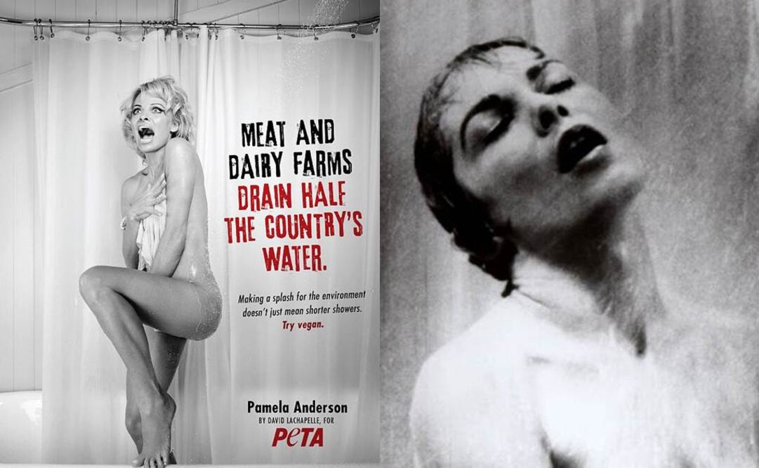 Anderson alerta sobre el consumo del agua por parte de la industria de la carne Foto: Tomada de Daily Mail y archivo