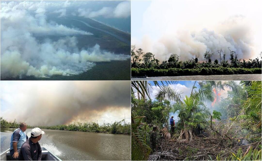 Un incendio forestal se desató desde el pasado 3 de abril en una reserva biológica en el sureste de Nicaragua (Foto: Fundación del Río/Gobierno Rama y Kriol)