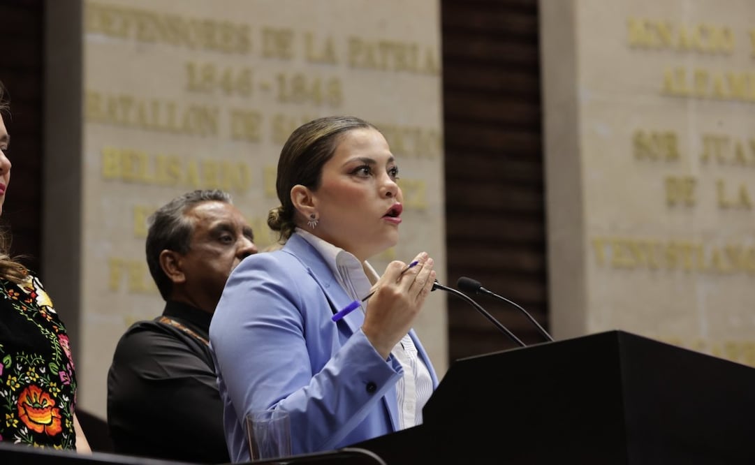 Diputada Lilia Aguilar, del Partido del Trabajo. Foto: Especial