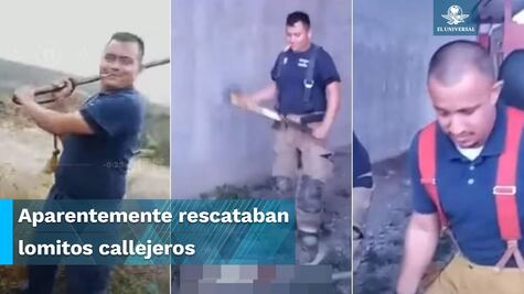 A golpes y hachazos, presuntos bomberos asesinan a perritos en Monclova, Coahuila