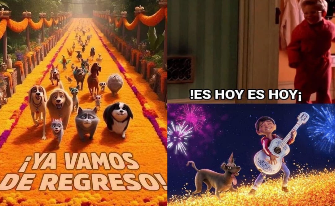 Los mejores memes para acompañar las almas de las mascotas este 27 de octubre. Foto: Redes sociales