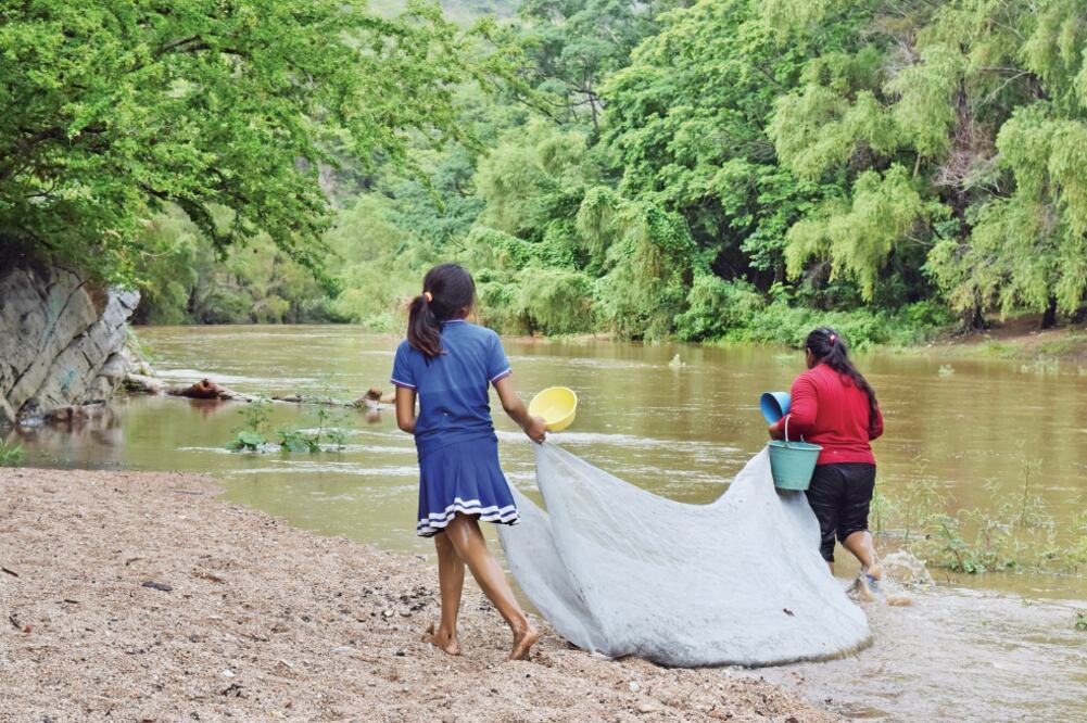 La Conagua y la empresa Proactiva recogieron muestras de agua y peces muertos en distintos puntos del río Sabinalito y anunciaron que en 15 días ofrecerán los resultados (FOTOS: ÓSCAR LEÓN)