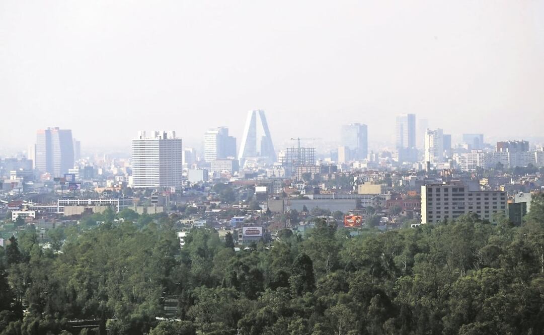 Fotografía: Archivo 