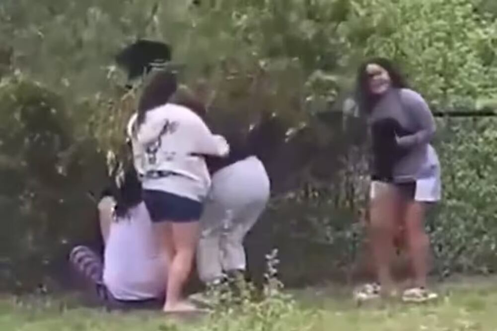 Un grupo de personas sacó a pequeños ositos de su hábitat para tomarse fotos, en Asheville, Carolina del Norte. FOTO: CAPTURA DE VIDEO