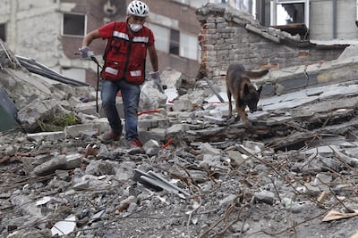 'Chichí', el perro rescatista que no se dio por vencido