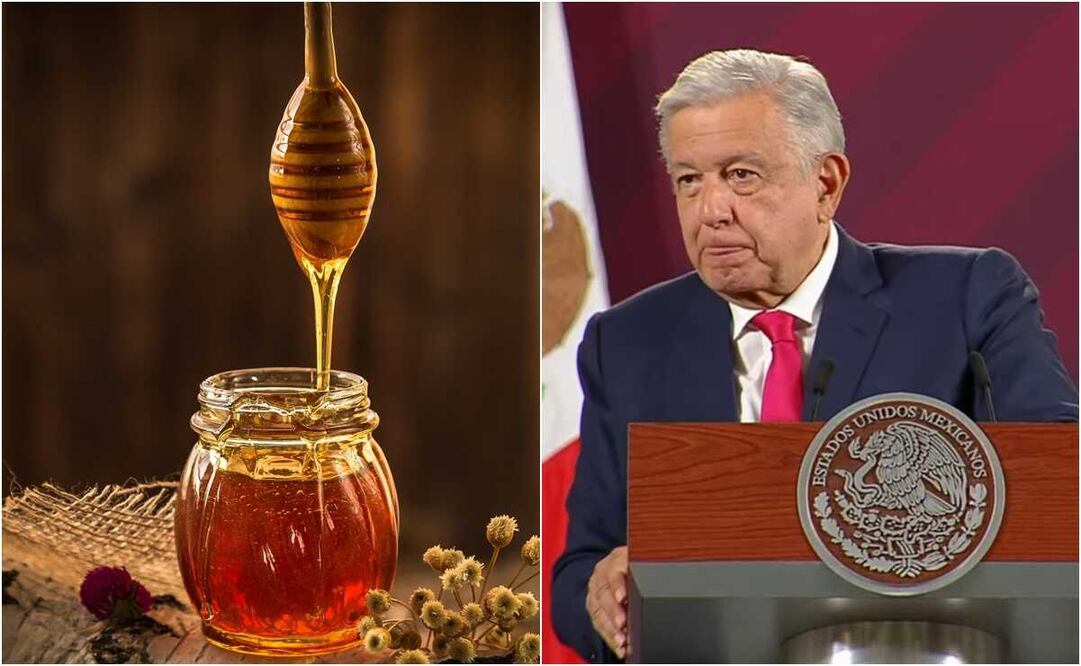 López Obrador aseguró que se apoyará a pequeños productores de miel en toda la ruta del Tren Maya. Foto: captura de pantalla