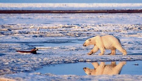 Rusia descubre 5 nuevas islas tras derretimiento de glaciares en el Ártico