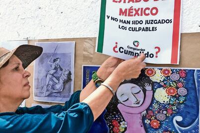 Propone PAN reformar ley por aumento de feminicidios 