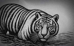 El tigre Kenzo falleció a causa de un disparo el pasado 2 de julio. Ilustración: Canva con intervención de IA