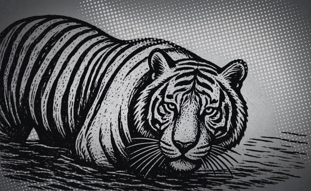 El tigre Kenzo falleció a causa de un disparo el pasado 2 de julio. Ilustración: Canva con intervención de IA
