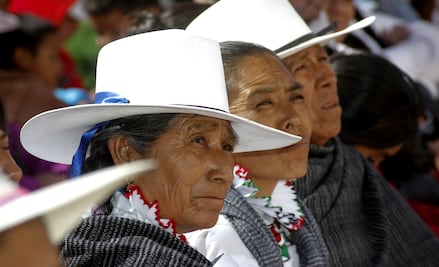 Busca PVEM en San Lázaro que información electoral sea traducida a lenguas indígenas