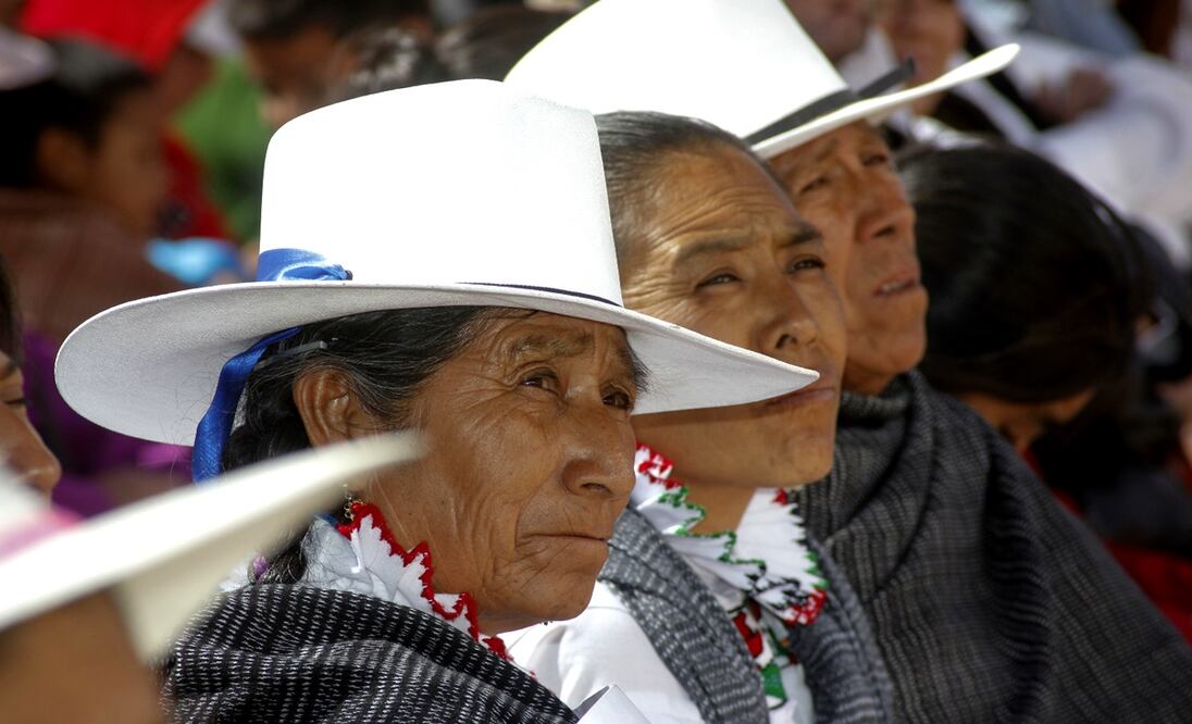 La diputada Valeria Santiago Barrientos presentó una iniciativa que busca garantizar que las comunidades indígenas tengan el pleno derecho de participar en la vida democrática del país. Foto: archivo/EL UNIVERSAL