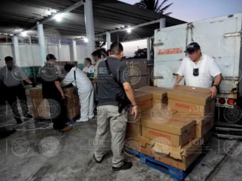 PGR decomisa el cargamento más grande de pepino de mar en lo que va del año