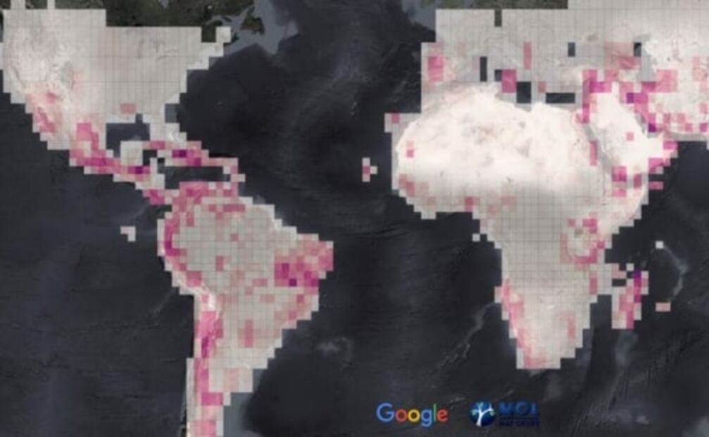 Crean mapa con lugares donde podría haber animales sin descubrir