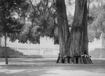 Los viejos gigantes del agua
