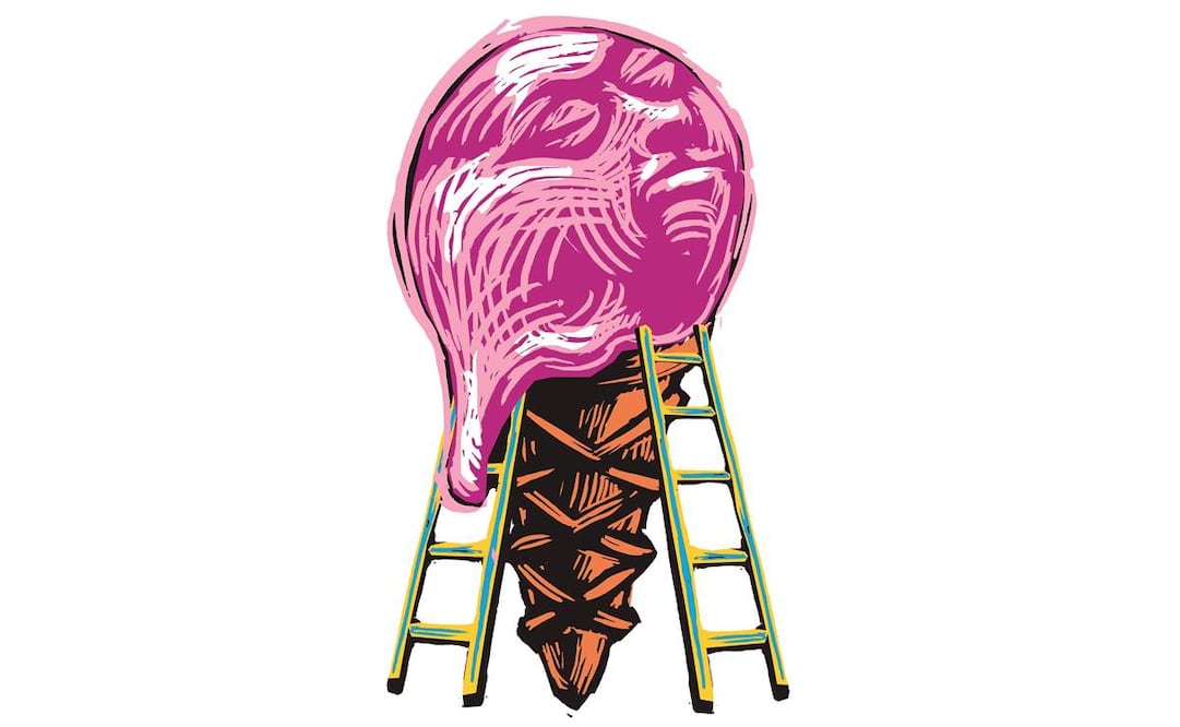 Marcelo y Videgaray, ¿dos apuestas por Trump?