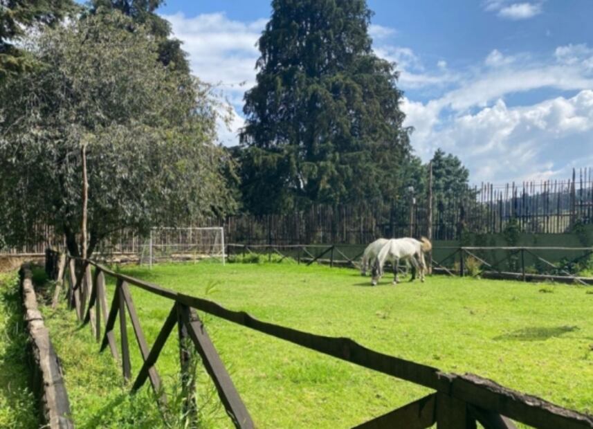 Qué hacer en Rancho El Juguete, al sur de CDMX