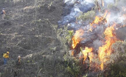 En lo que va del año, 9 mil 730 hectáreas afectadas por incendios en Edomex