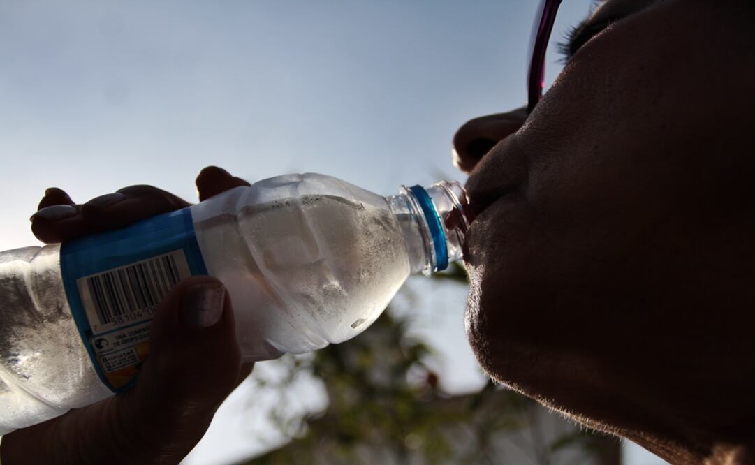 Foto: Archivo/Cuartoscuro                                