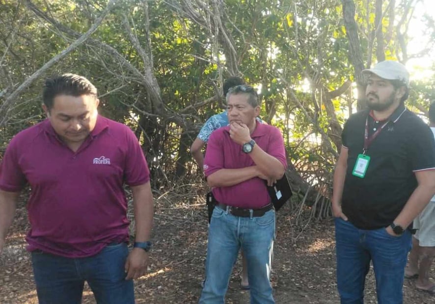 A esta estrategia se sumó la Secretaría de Medio Ambiente y Recursos Naturales (Semarnat) y la Comisión Nacional de Áreas Naturales Protegidas (Conanp). Foto: Especial