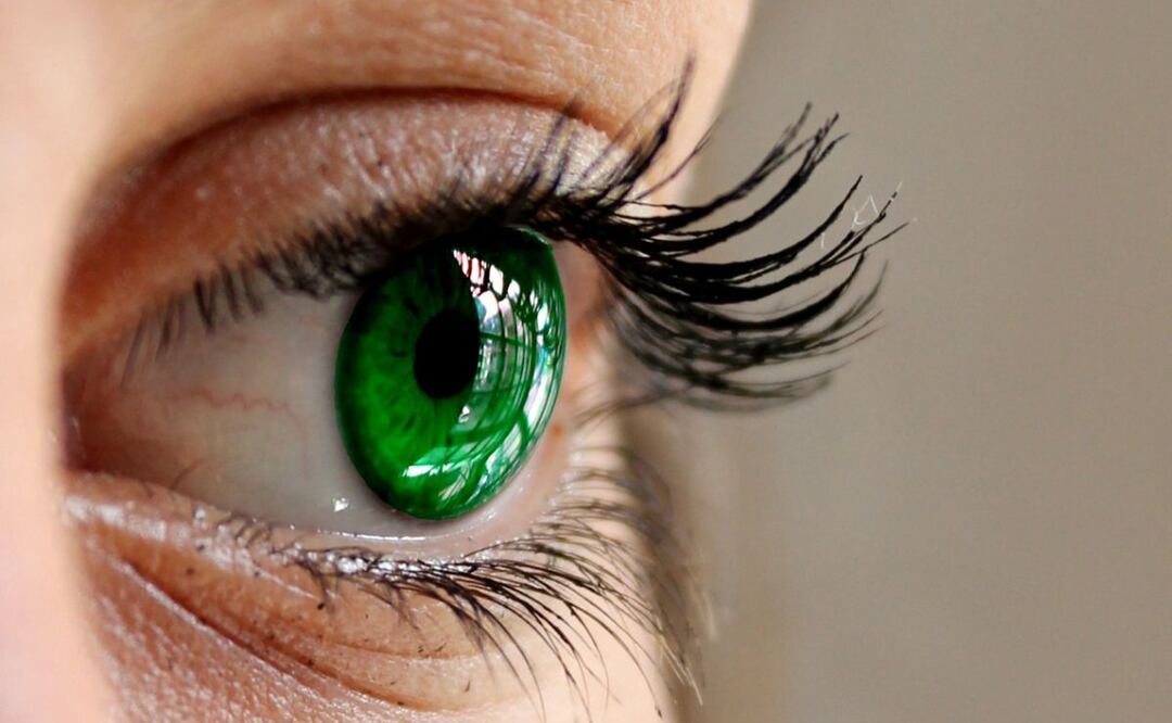 Pestañas grandes. Fuente: Pixabay