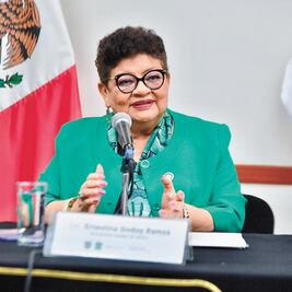 ¿Quién dejó ir a los asesinos de la Doctores?