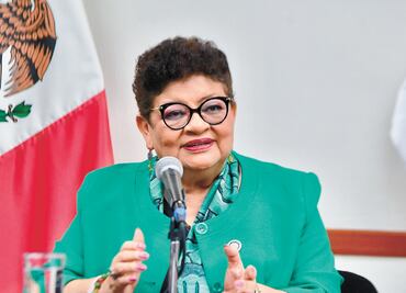 ¿Quién dejó ir a los asesinos de la Doctores?