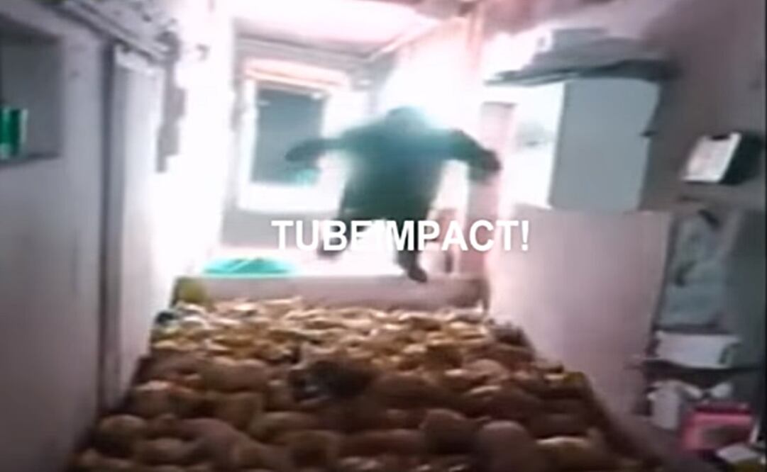 Foto: Tomada de YouTube