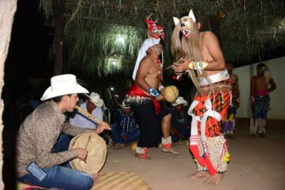 Danza tradicional corre peligro por disminución de capullos de mariposa