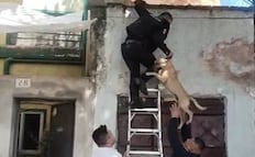 Policías rescatan a perro durante incendio en vivienda de Miguel Hidalgo; bomberos sofocan el fuego