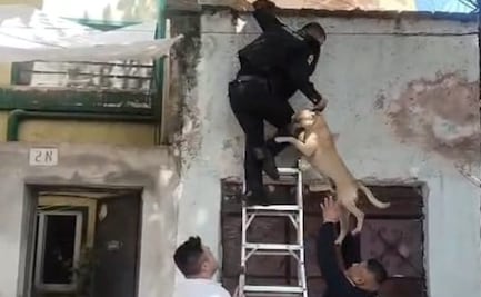 Policías rescatan a perro durante incendio en vivienda de Miguel Hidalgo; bomberos sofocan el fuego