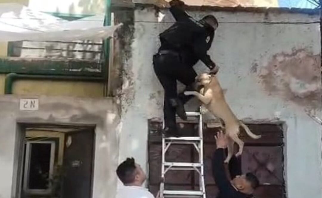 Policías rescatan a perro durante incendio en vivienda de Miguel Hidalgo; bomberos sofocan el fuego. Foto: Especial