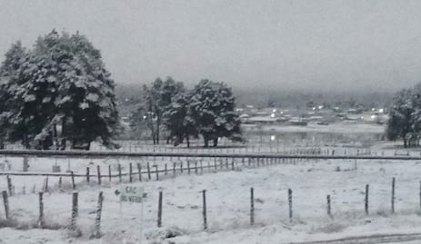 Segunda tormenta invernal golpea Chihuahua; reportan nieve y aguanieve en varios municipios