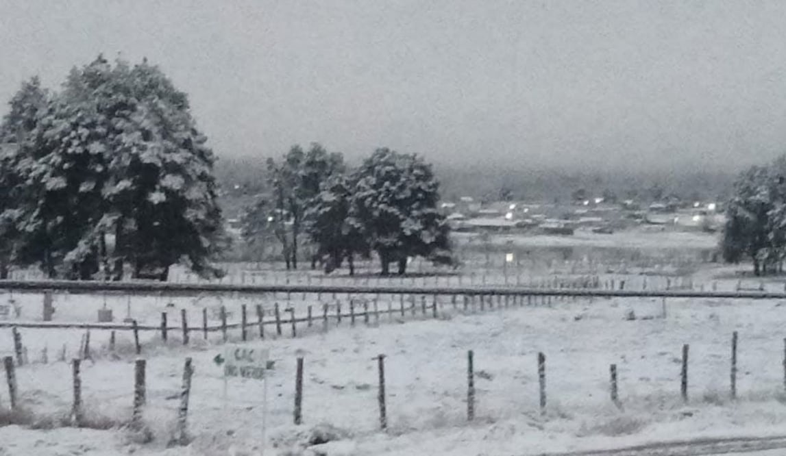 Segunda tormenta invernal golpea Chihuahua; reportan nieve y aguanieve en varios municipios. Foto: Especial