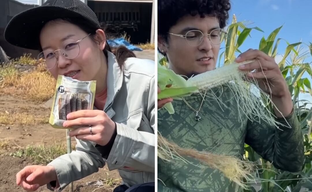 Foto: Captura de pantalla en YouTube