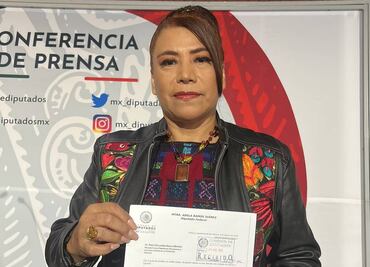 Diputada de Morena denuncia ante el INE a Mario Delgado y a Citlalli Hernández por violencia política de género