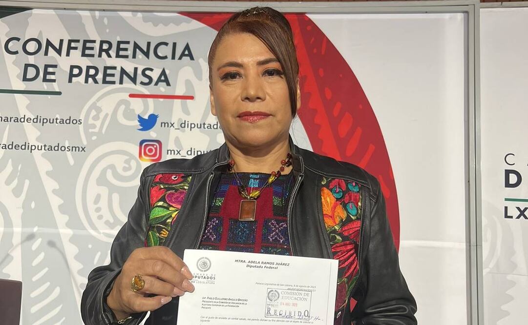 La diputada de Morena, Adela Ramos, se expresó en contra de la distribución de los libros de texto / Foto: Twitter