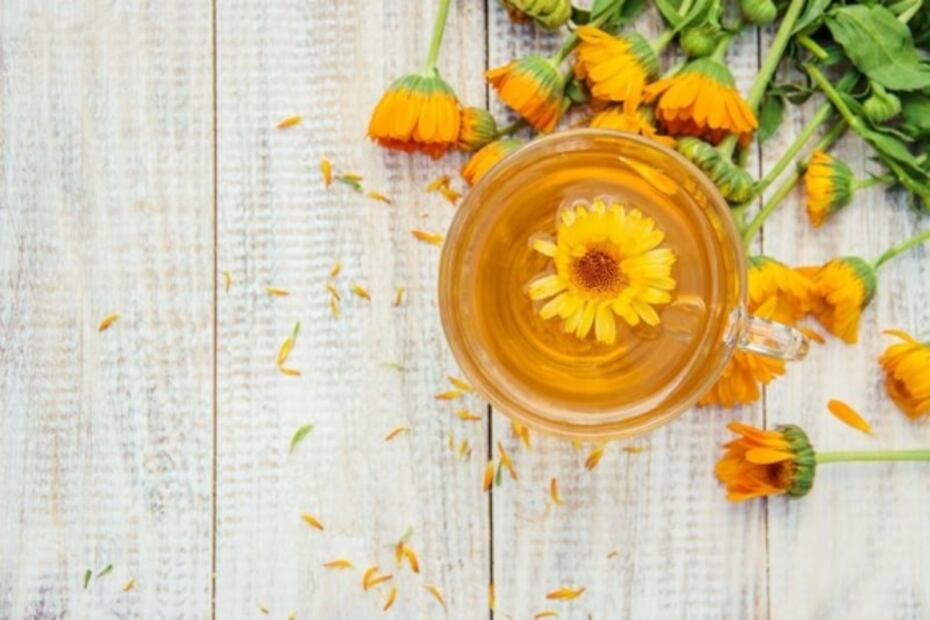 7 Flores comestibles que tienes que probar