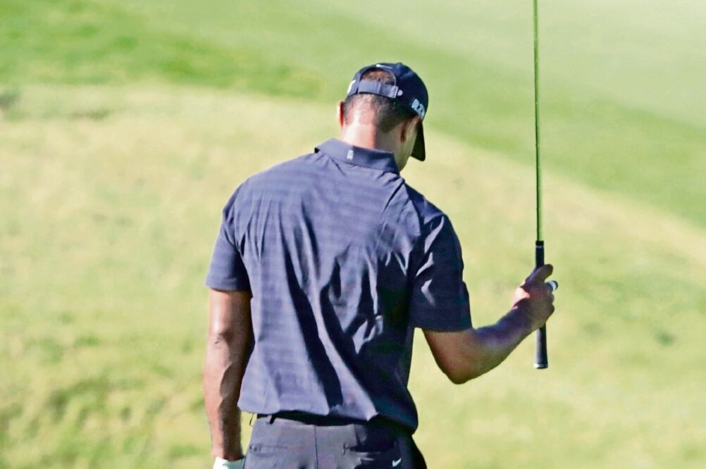 El Tigre no tiene aún fecha para volver a los campos (BRYNN ANDERSON. AP)